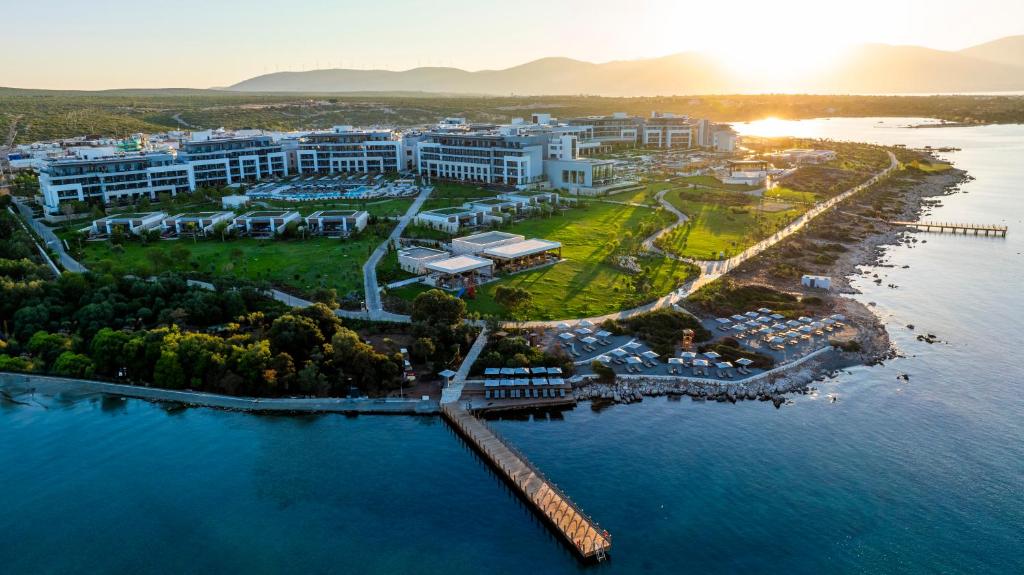 Anda Barut Collection